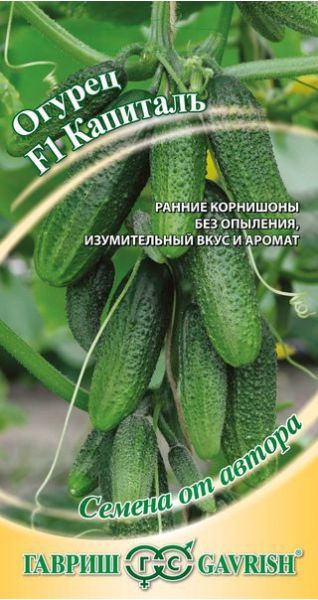 Семена Огурец Капитал F1 10 шт