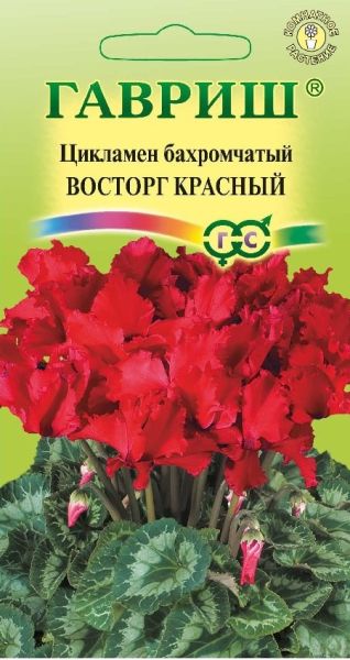 Семена Цикламен Восторг красный F1 махровый 3 шт.