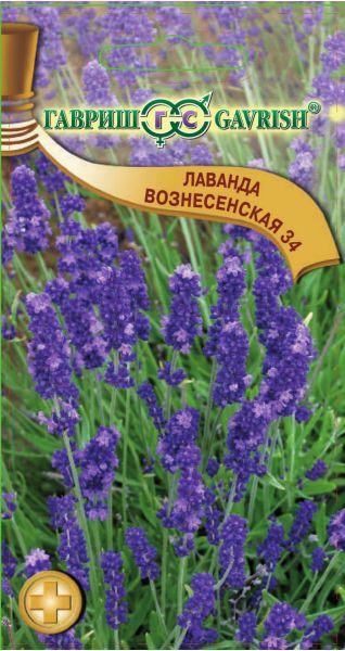 Семена Лаванда узколистная Вознесенская 34 0,05 г