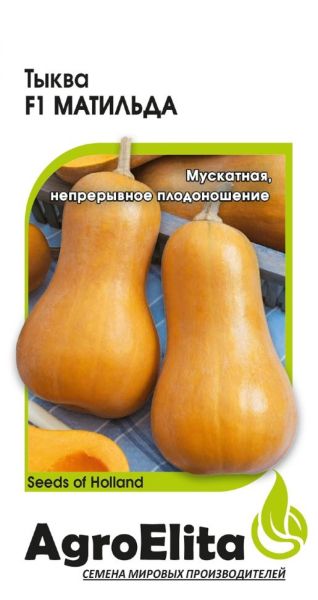 Семена Тыква Матильда F1 5 шт Агроэлита