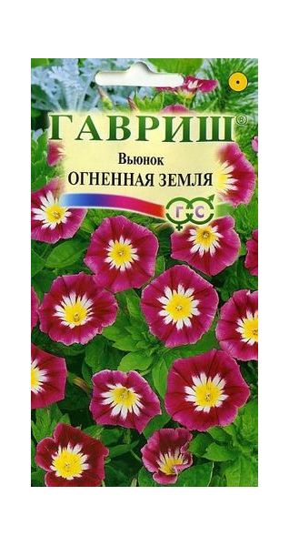 Вьюнок Трехцветный Огненная земля 0,5 г