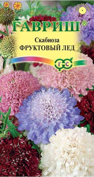 Скабиоза пурпурная Фруктовый лед, махровая смесь 0,2 г