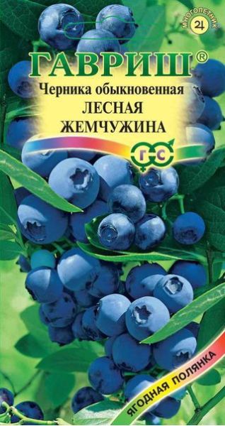 Семена Черника обыкновенная Лесная жемчужина 30 шт.