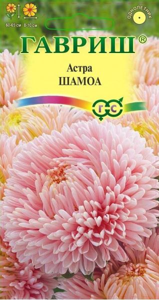 Семена Астра Шамоа 0,3 г