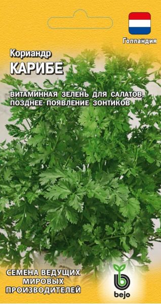 Семена Кориандр Карибе 10 г Голландия