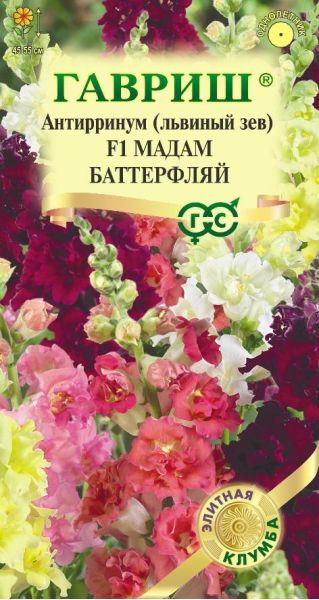 Львиный зев (Антирринум) Мадам Баттерфляй 7 шт. серия Элитная клумба