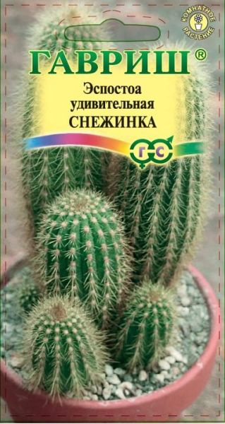 Семена Эспостоа удивительная Снежинка 4 шт.