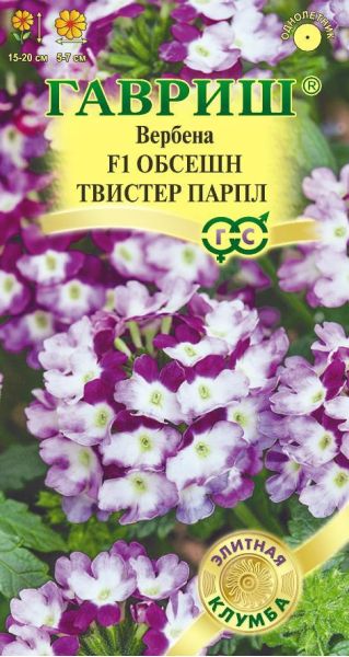 Вербена Обсешн Твистер парпл F1 4 шт. серия Элитная клумба