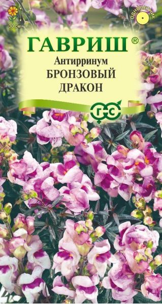 Львиный зев (Антирринум) Бронзовый дракон 7 шт. серия Элитная клумба
