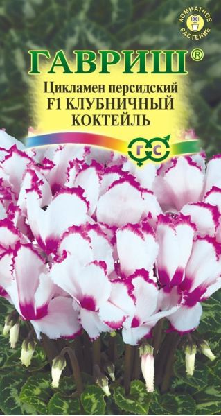 Семена Цикламен Клубничный коктейль персидский ароматный 3 шт.