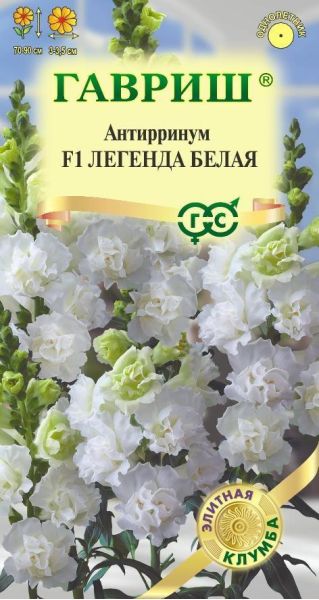 Львиный зев (Антирринум) Легенда белая F1 5 шт.