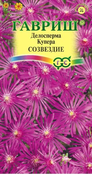 Семена Делосперма Купера Созвездие 10 шт.