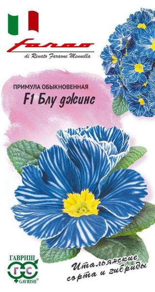 Семена Примула Блу джинс F1  5 шт