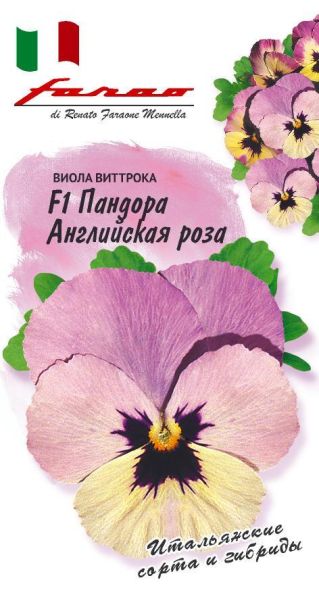 Семена Виола Пандора Английская Роза 5 шт.
