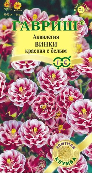 Семена Аквилегия Винки красная с белым обыкновенная 5 шт