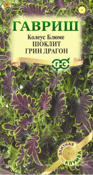 Колеус Шоклит грин Драгон 4 шт.