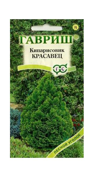 Семена Кипарисовик тупой Красавец 0,1 г