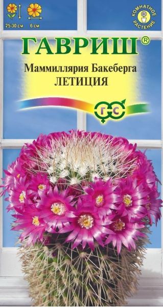 Семена Маммиллярия Бакеберга Кактус Летиция 2 шт.