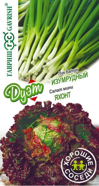 Семена Лук батун Изумрудный 0,5 г и Салат Яхонт 0,5 г