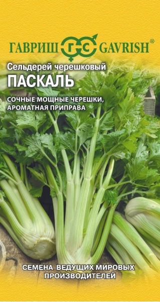 Семена Сельдерей черешковый Паскаль 0,1 г Голландия