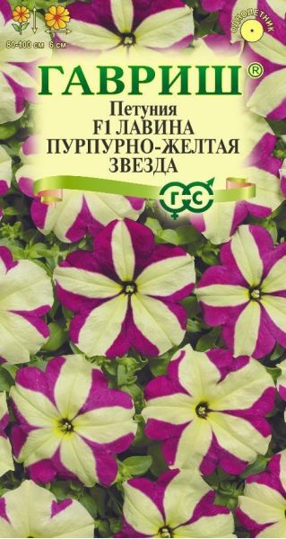 Петуния Лавина Пурпурно-жёлтая звезда  F1 амп. 7 шт.