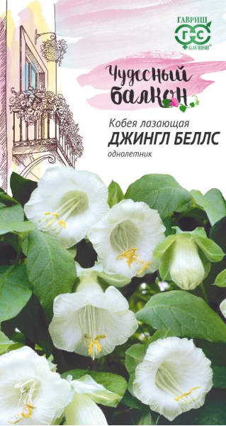 Кобея Лазающая Джингл беллс 5 шт. серия Чудесный балкон