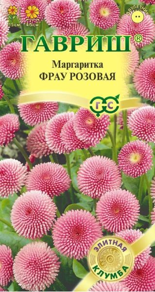 Семена Маргаритка Фрау розовая 4 шт.