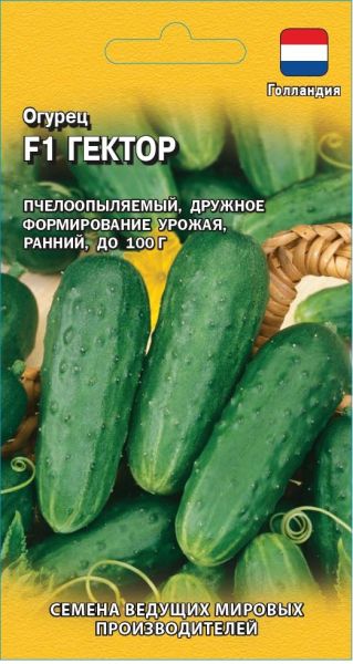 Семена Огурец Гектор F1 10 шт Голландия