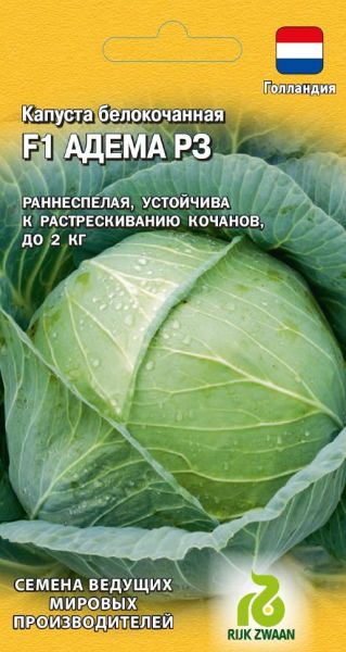 Семена Капуста белокочанная Адема РЗ F1 10 шт Голландия