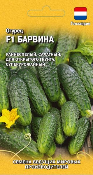 Семена Огурец Барвина F1 5 шт Голландия