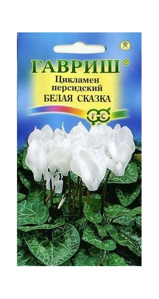 Семена Цикламен Белая сказка персидский 3 шт