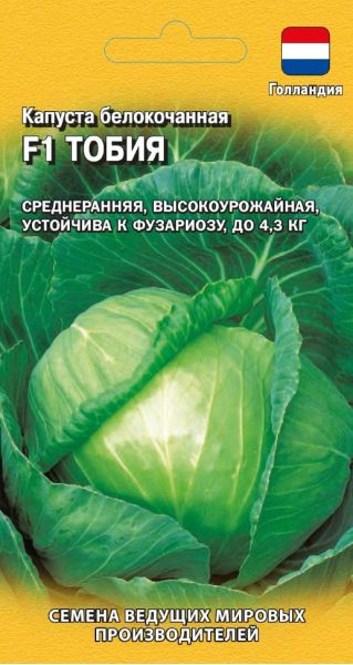 Семена Капуста белокочанная Тобия F1 10 шт Голландия