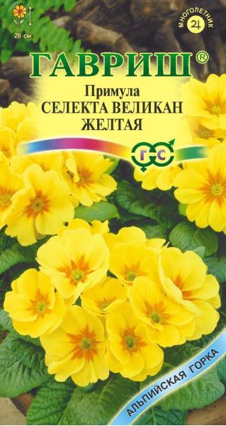 Семена Примула Желтый Великан 10 шт