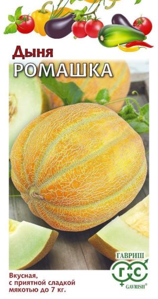 Семена Дыня Ромашка 1 г