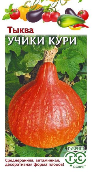 Семена Тыква Учики Кури 5 шт.