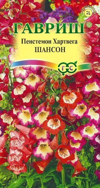 Семена Пенстемон Хартвига Шансон наперстянковый 0,1 г