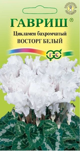 Семена Цикламен Восторг белый F1 махровый 3 шт.