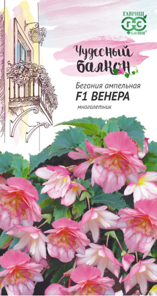 Семена Бегония ампельная Венера F1 клубневая 4 шт.