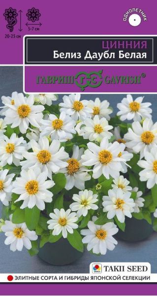 Цинния Белиз даубл белая 5 шт.