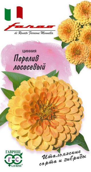 Цинния Перелив Лососевый 6 шт. Фарао