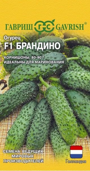 Семена Огурец Брандино F1 5 шт Голландия