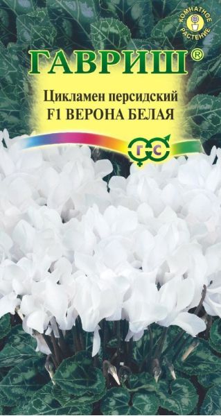 Семена Цикламен Верона белая F1 персидский ароматный 3 шт.
