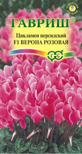 Семена Цикламен Верона розовая F1 персидский, ароматный F1 3 шт.