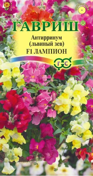 Львиный зев (Антирринум) ампельный Лампион* 5 шт