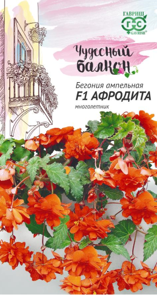 Семена Бегония ампельная Афродита F1, клубневая 4 шт.