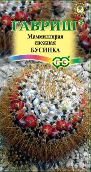 Семена Маммиллярия Кактус Бусинка 2 шт.