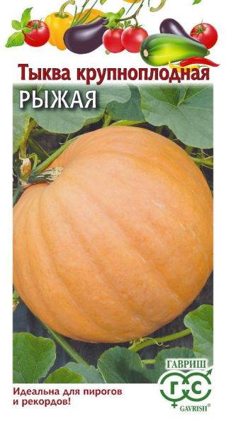 Семена Тыква Рыжая 1 г