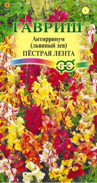 Львиный зев (Антирринум) Пестрая лента 0,05 г