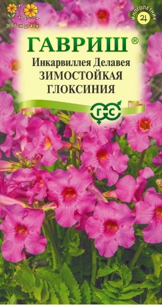 Семена Инкарвиллея Делавея Зимостойкая глоксиния 0,1 г