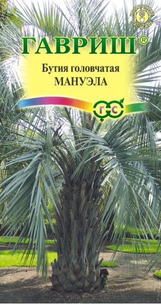 Семена Бутия головчатая Мануэла 3 шт.